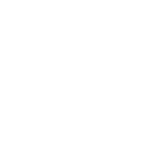 A black and white logo of the spinal perception.